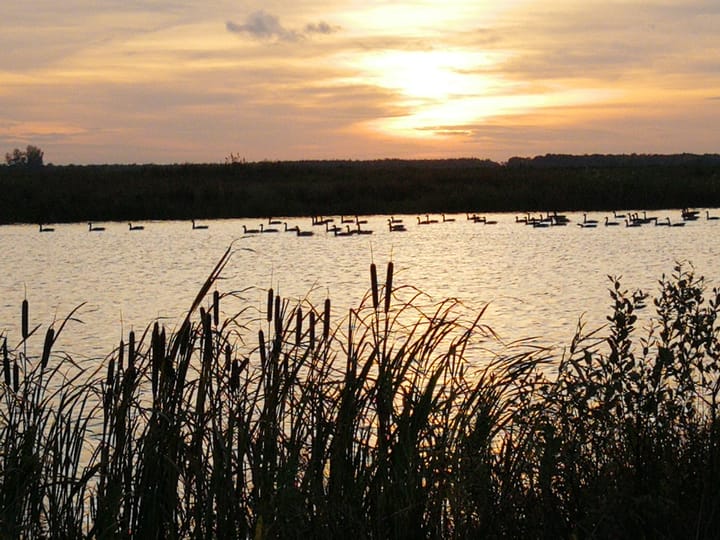 Foto 52 van De Banken 31