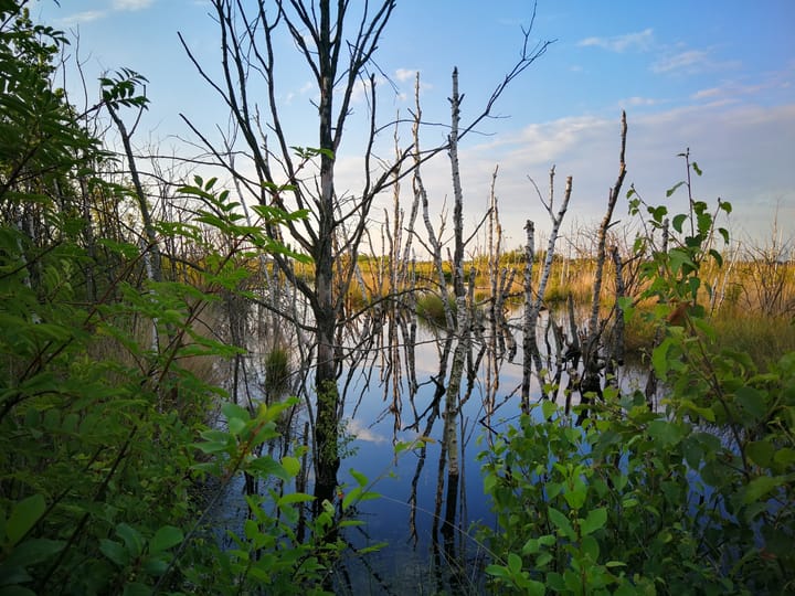 Foto 53 van De Banken 31