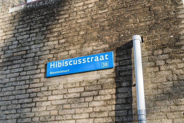 Foto 63 van Hibiscusstraat 4