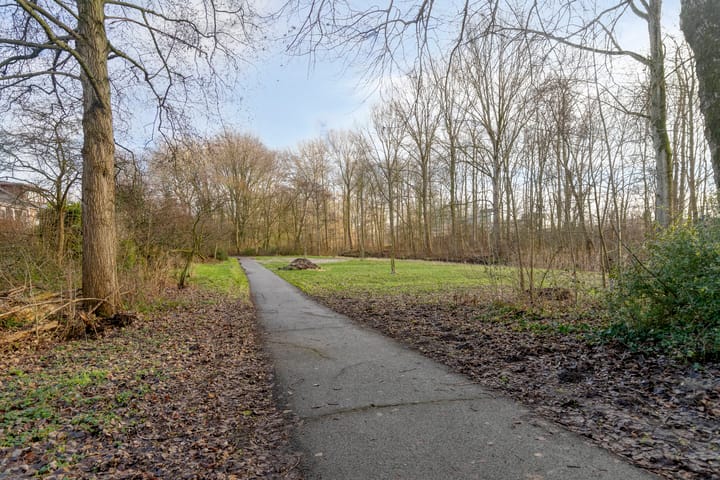 Foto 37 van Vlieland 13