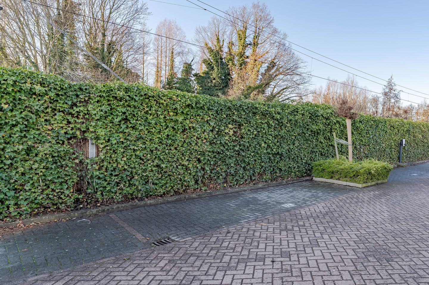 Foto 34 van Parklaan 178