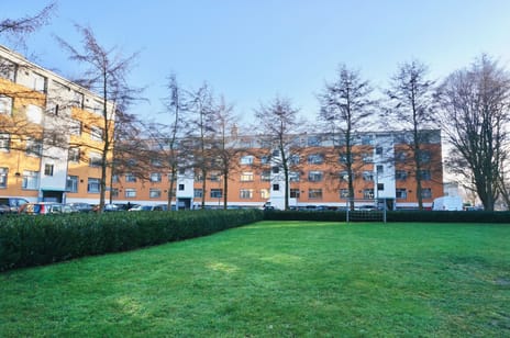 Albertistraat thumbnail