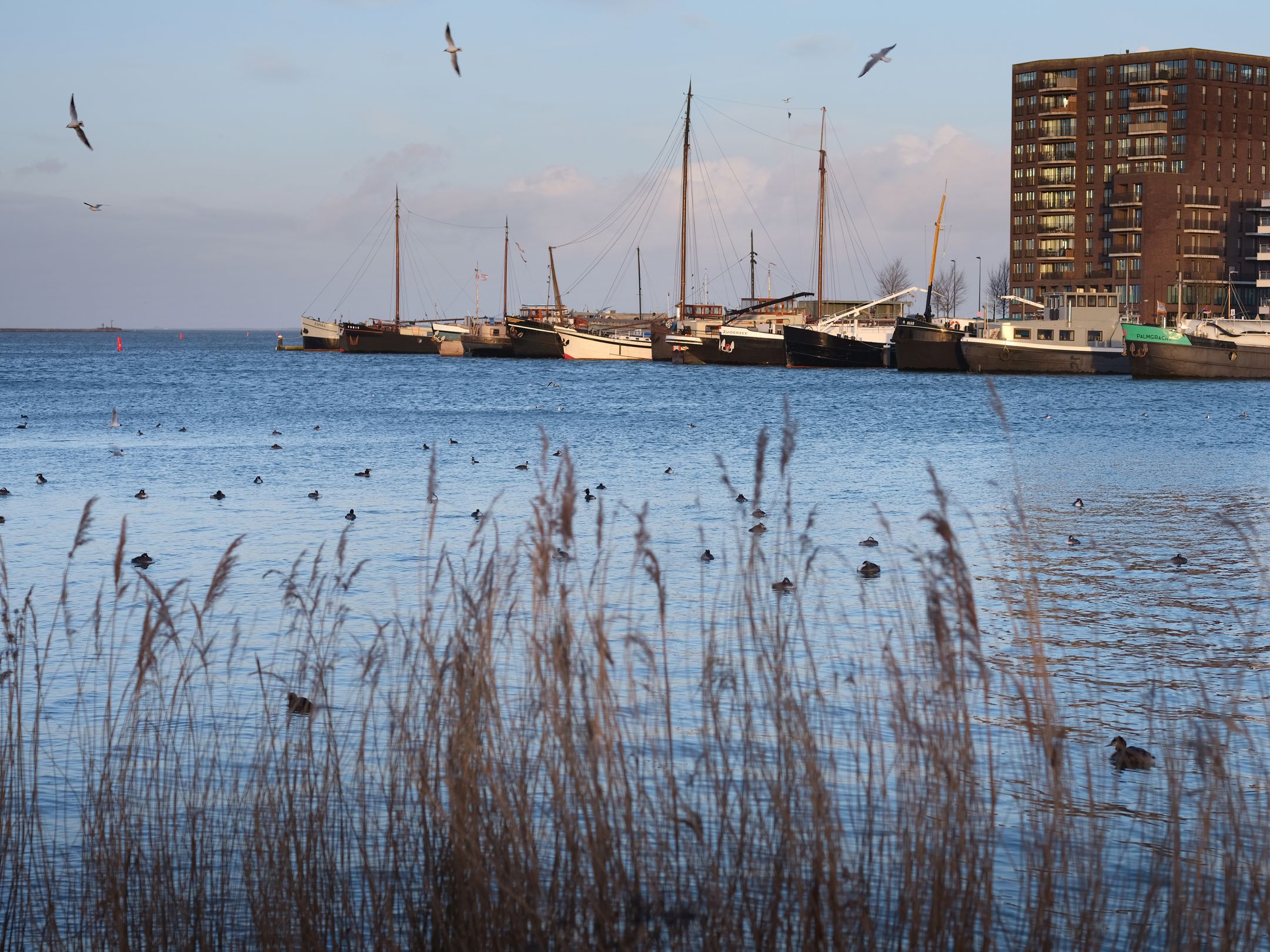 Foto 15 van Zwanebloemlaan 22