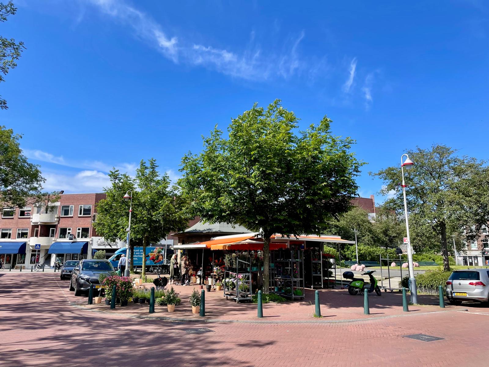 Photo 39 of Goudenregenstraat 64