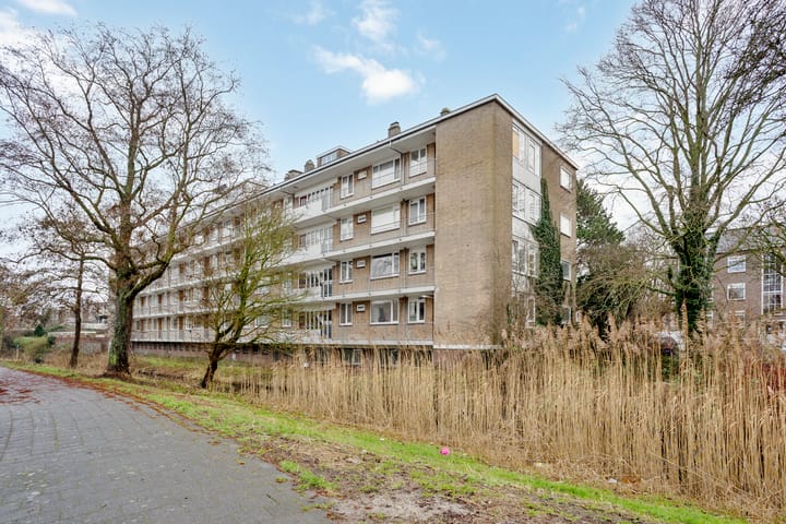 Foto 33 van Tulpstraat 5