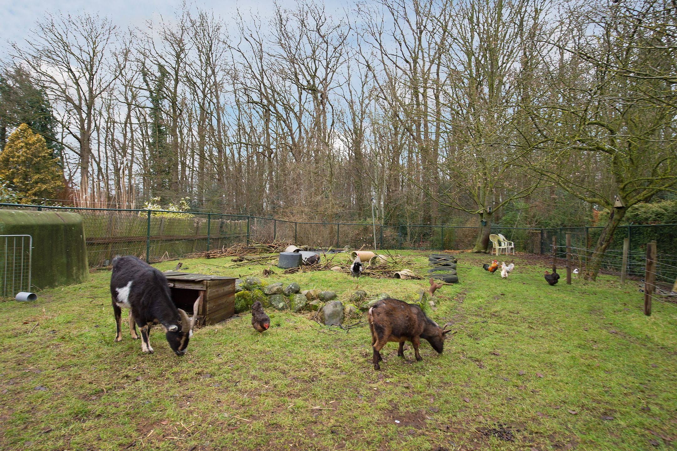 Foto 36 van Otto Zomerweg 65