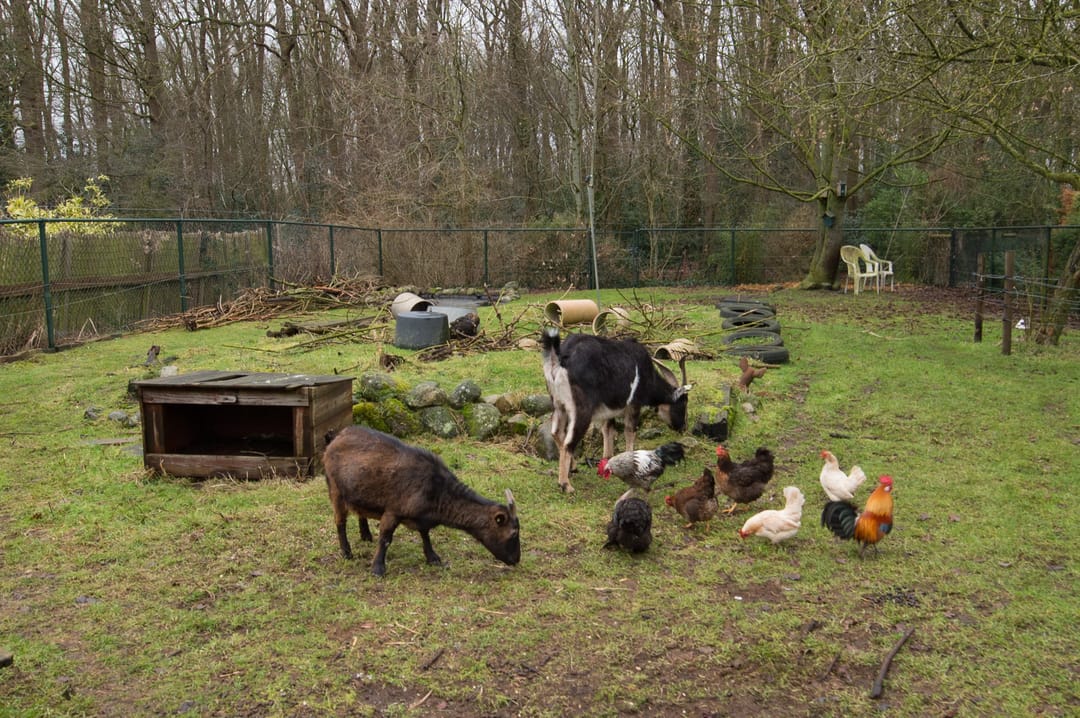 Foto 37 van Otto Zomerweg 65