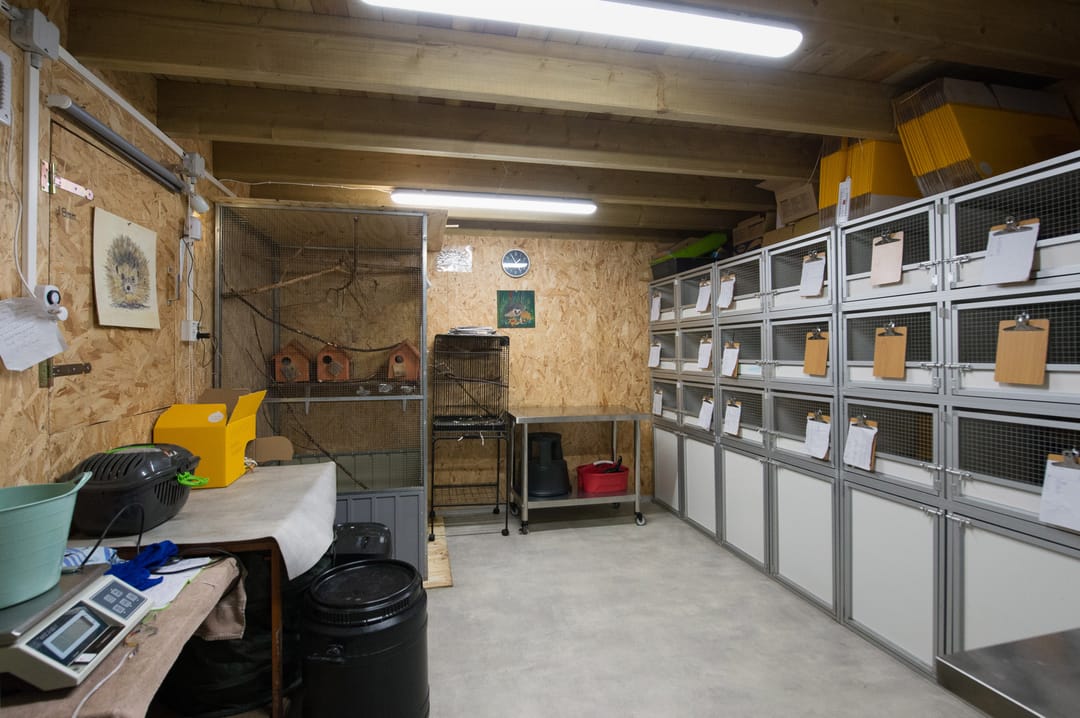 Foto 41 van Otto Zomerweg 65