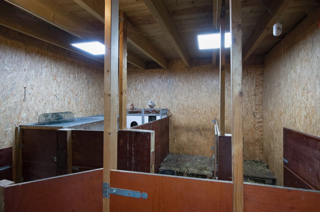 Foto 43 van Otto Zomerweg 65