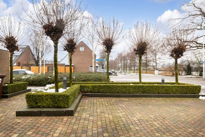 Foto 49 van D'Hondecoeterstraat 28