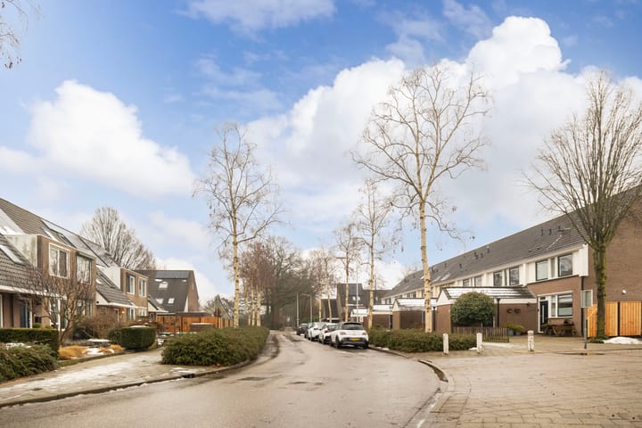 Foto 51 van D'Hondecoeterstraat 28