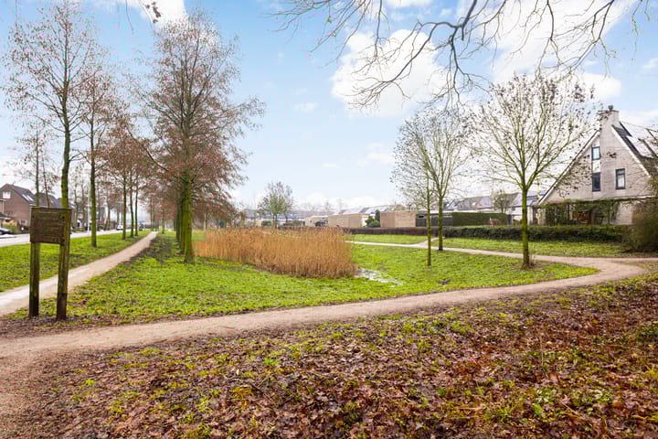 Foto 52 van D'Hondecoeterstraat 28