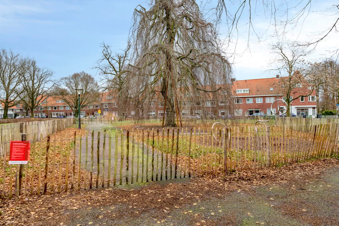 Foto 37 van Balsemienplein 7