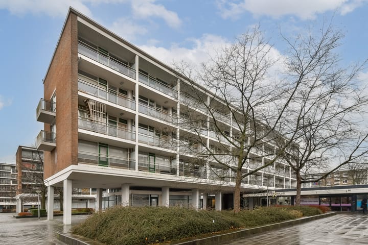 van Baerlestraat 161