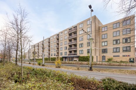 Ir J.P. van Muijlwijkstraat thumbnail