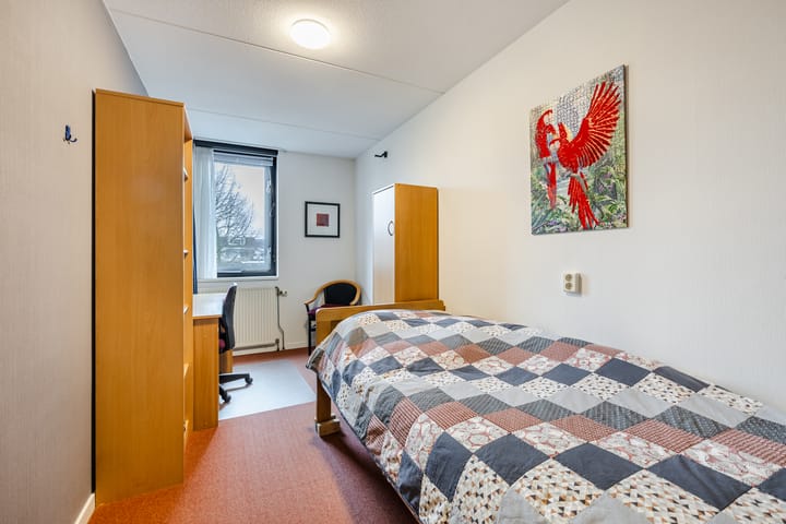 Foto 27 van Ruisvoorn 42