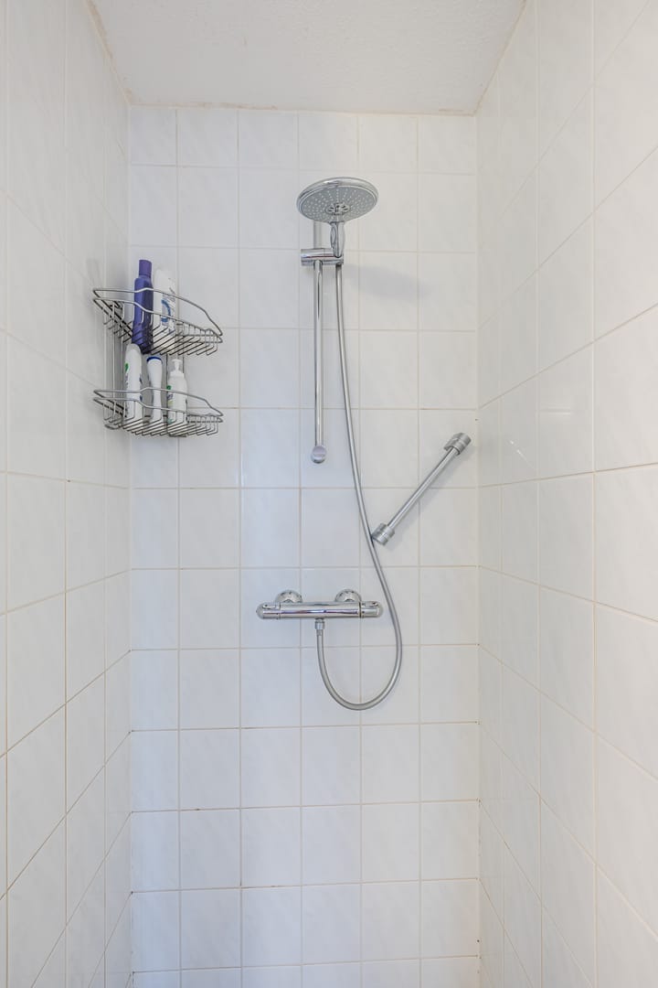 Foto 32 van Ruisvoorn 42