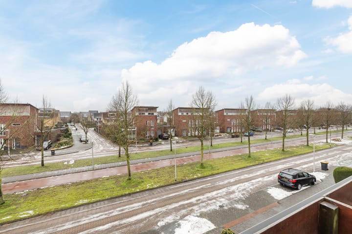 Foto 42 van Ruisvoorn 42