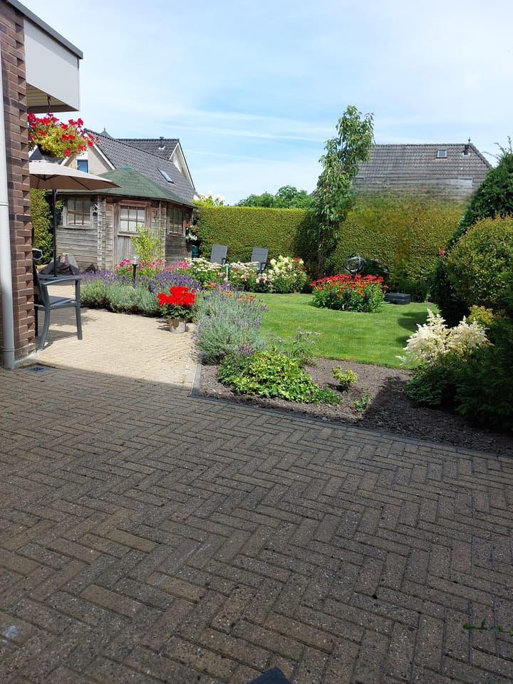 Foto 48 van Ruisvoorn 42