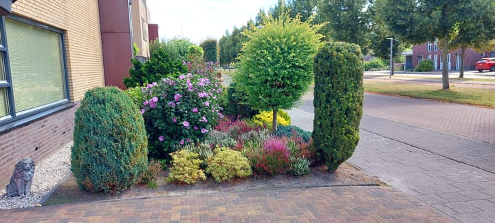 Foto 52 van Ruisvoorn 42