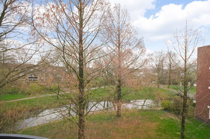 Foto 16 van Gooierserf 368