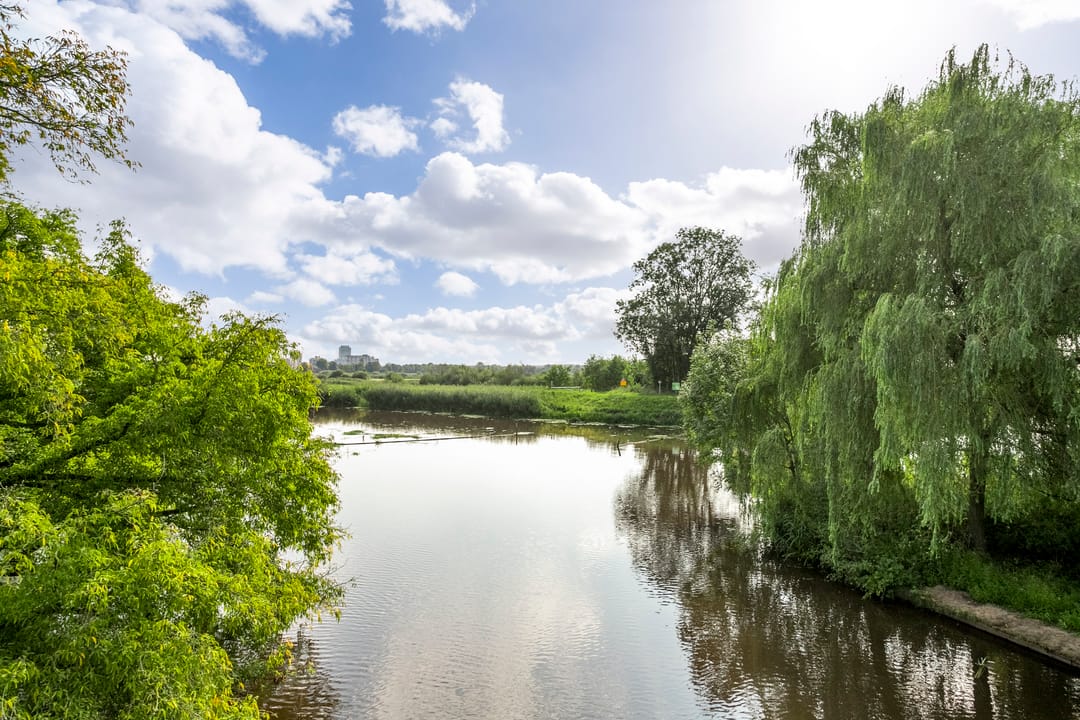 Foto 26 van Eerste Korenstraatje 14