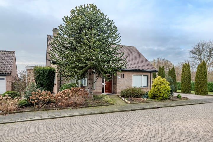 Jacob de Ridderstraat 21