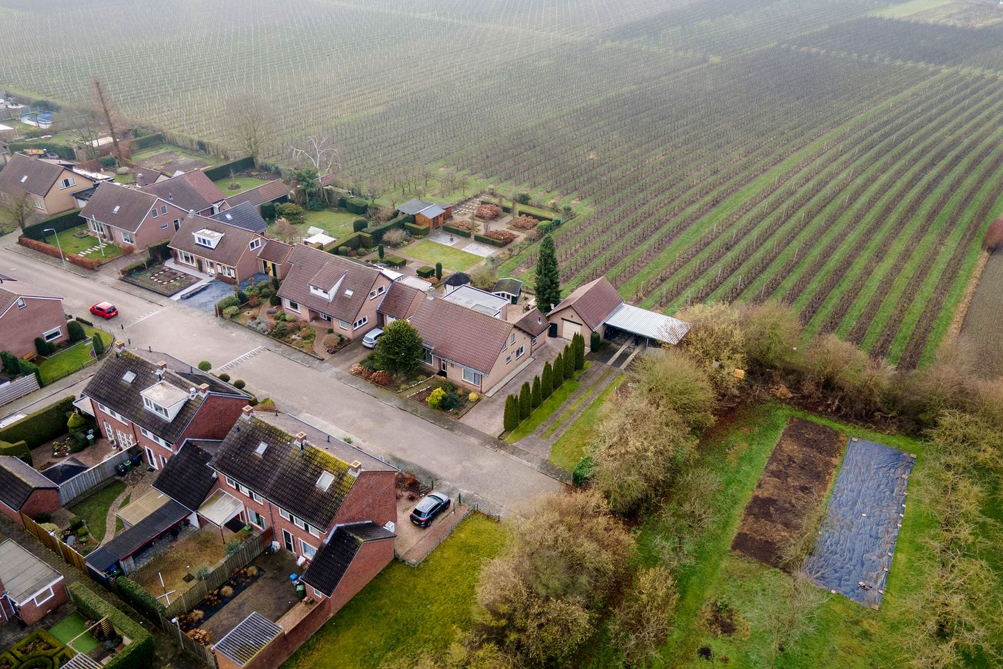 Foto 49 van Jacob de Ridderstraat 21