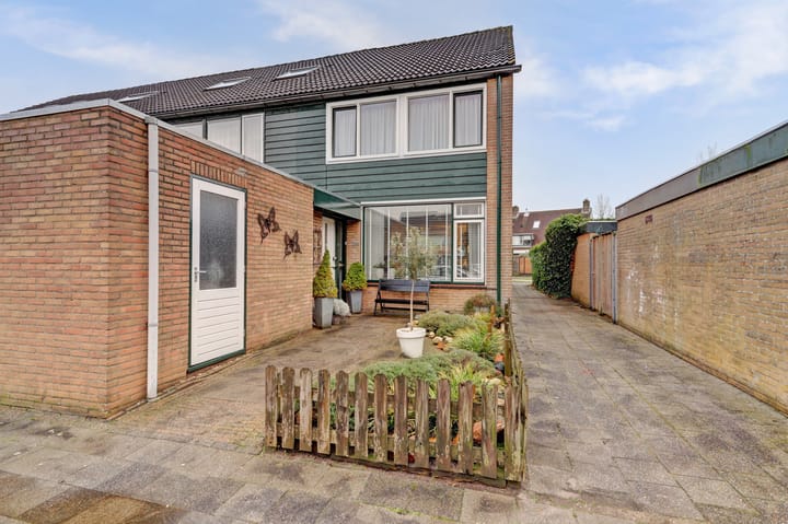 Valeriaan 36 main image