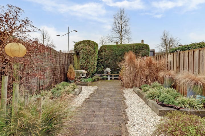 Foto 35 van Valeriaan 36