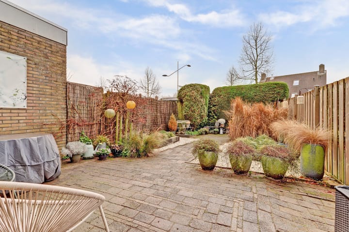 Foto 36 van Valeriaan 36