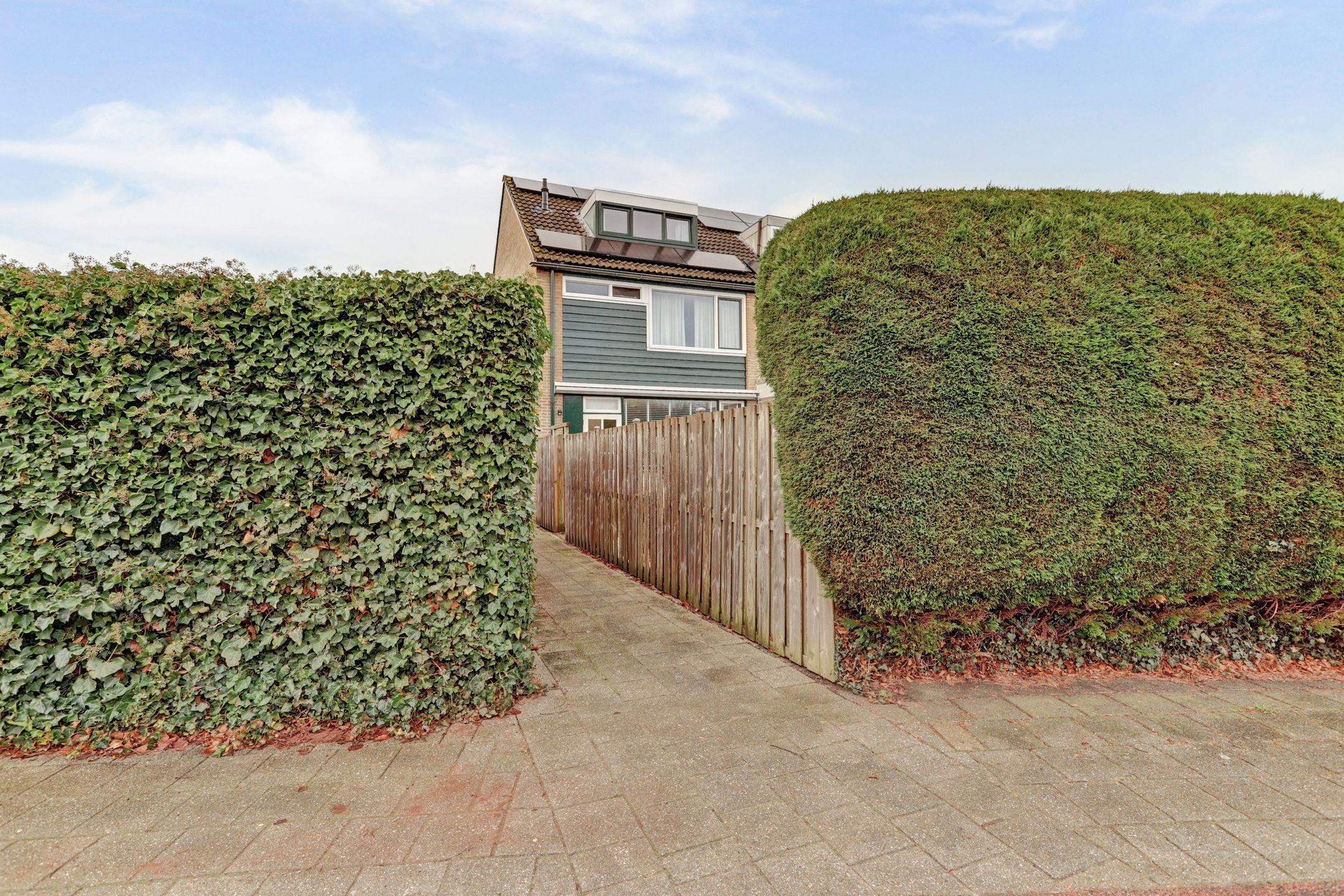 Foto 39 van Valeriaan 36