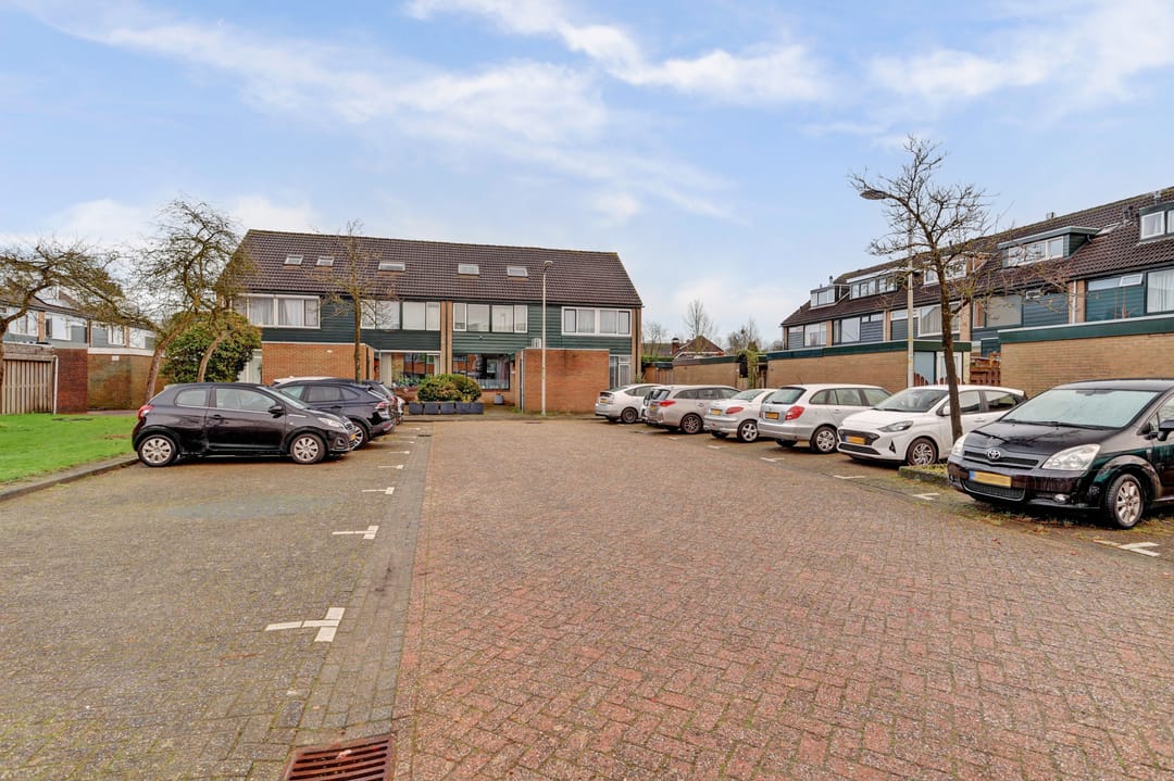 Foto 41 van Valeriaan 36