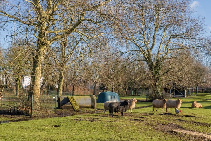 Foto 57 van Graaf Janlaan 70