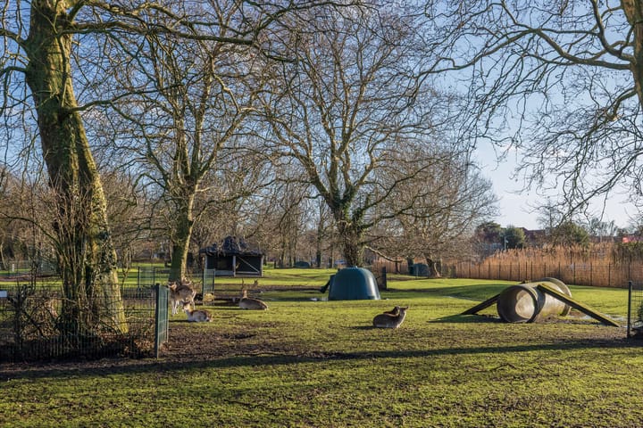 Foto 58 van Graaf Janlaan 70