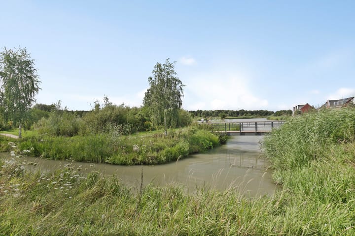 Foto 42 van Sterappelpad 11