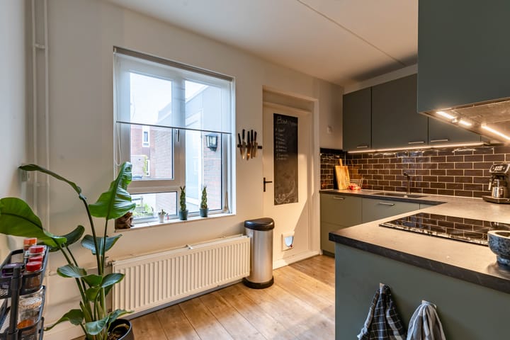 Foto 22 van Jaltadaheerd 64