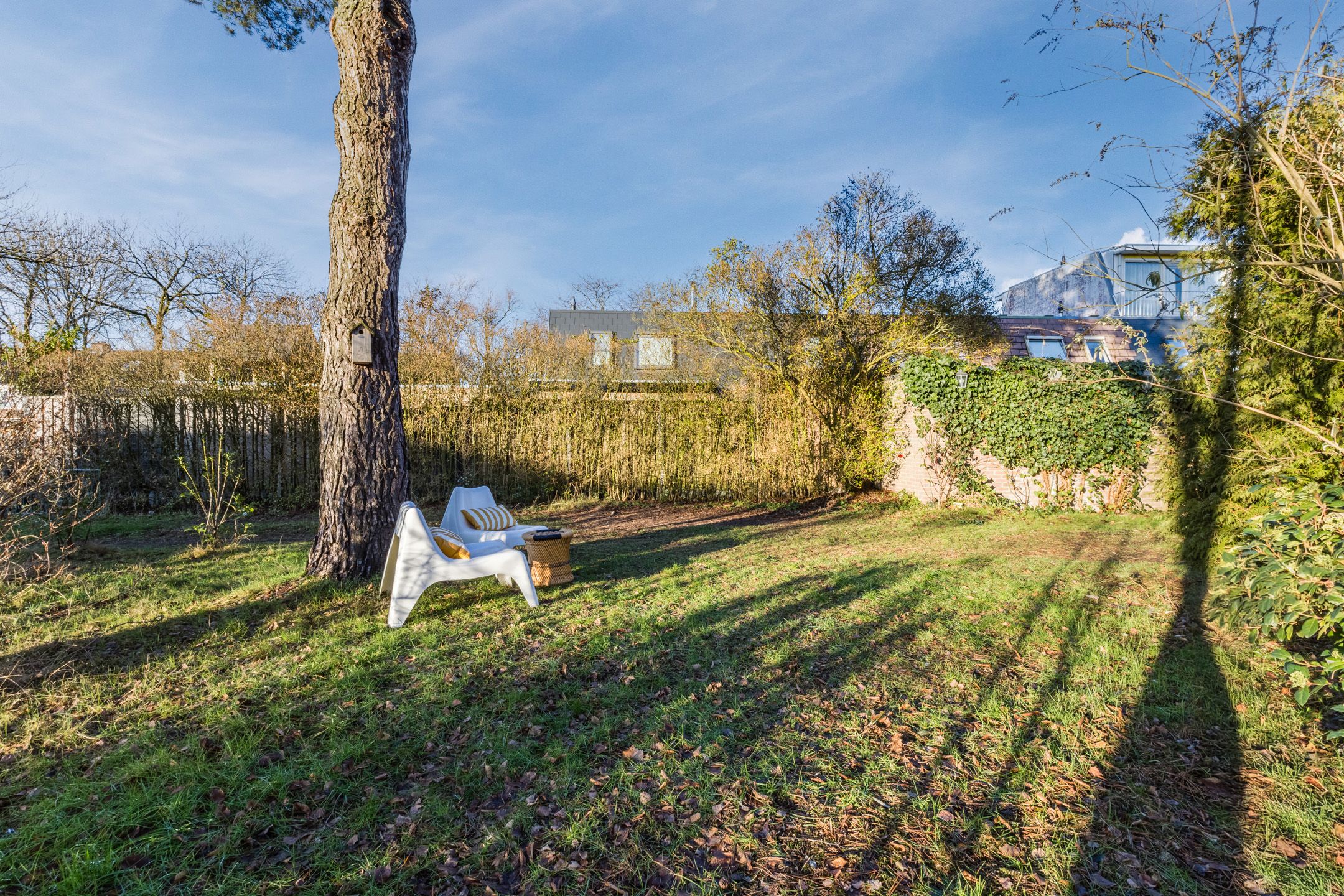 Foto 33 van Zwanenveld 3556