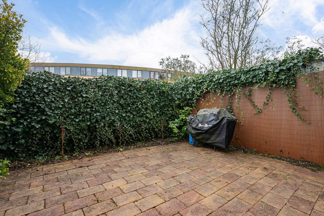 Photo 28 of Stedenland 3