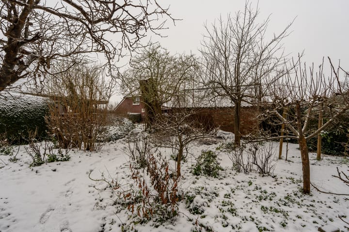 Foto 40 van 1e Grenslaan 1