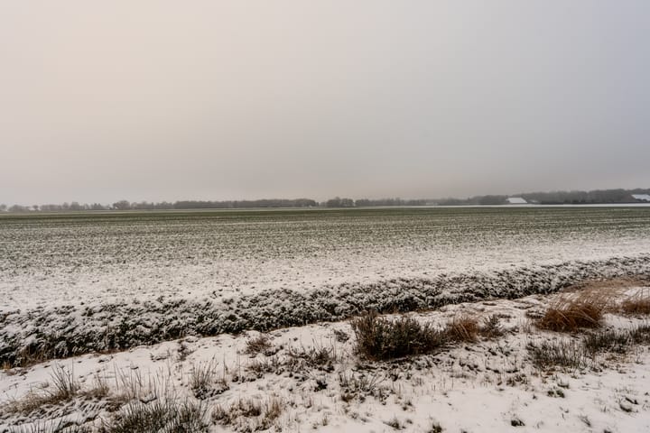 Foto 45 van 1e Grenslaan 1