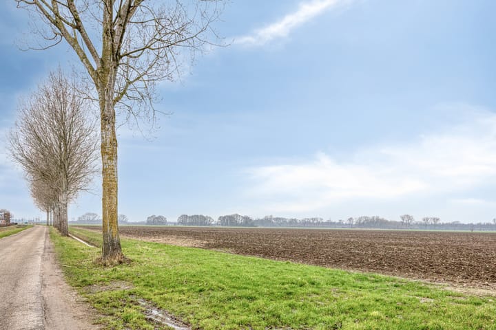 Foto 40 van Langstraat 1