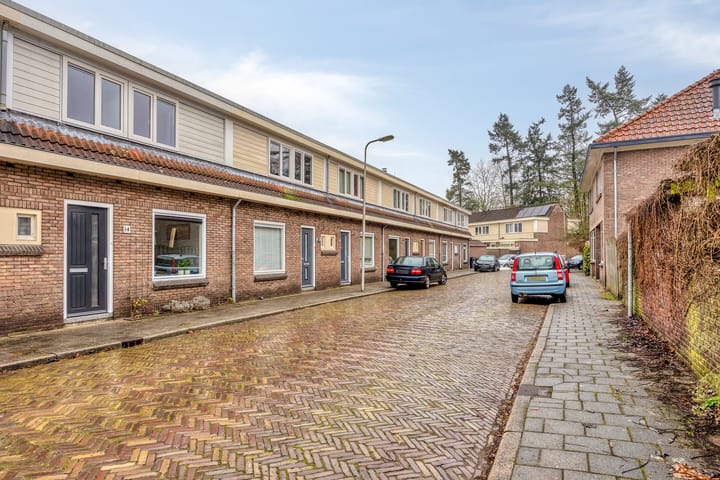 Foto 6 van President Steynstraat 14