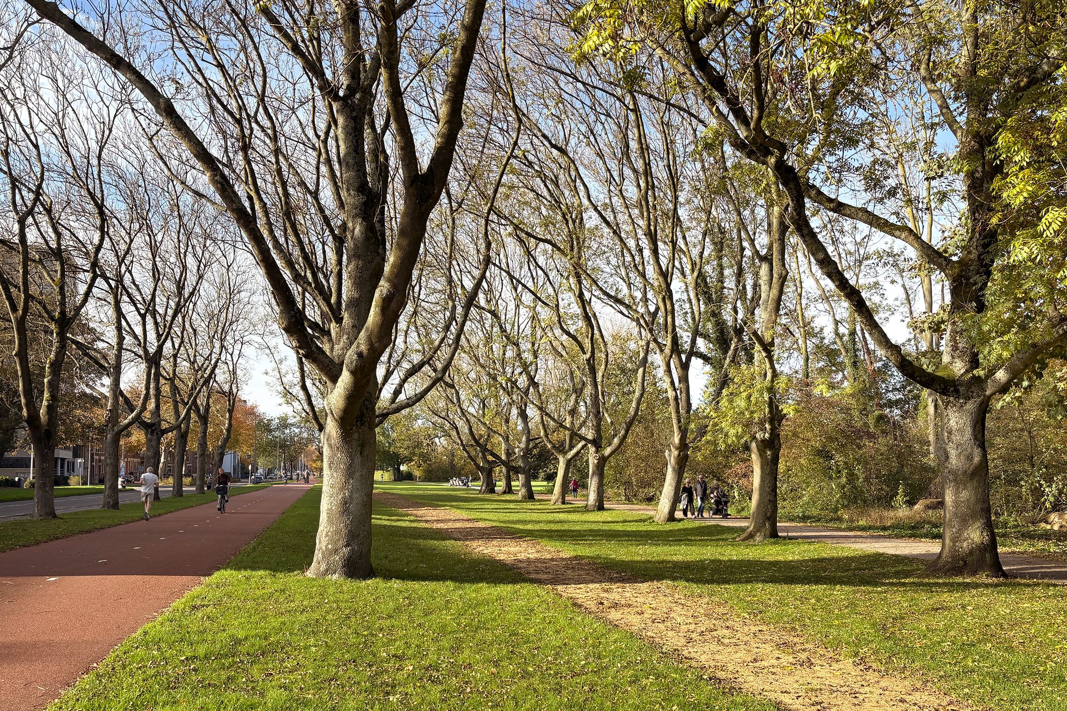 Foto 18 van IJsclubstraat 31-C