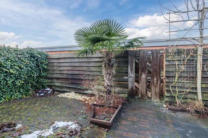 Foto 26 van Tamboerlaan 241