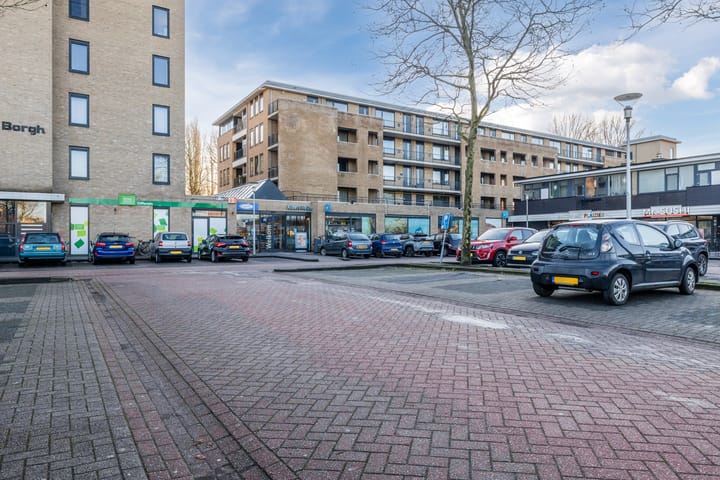 Foto 32 van Tamboerlaan 241