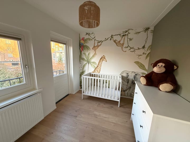 Foto 21 van Albert Cuypstraat 20