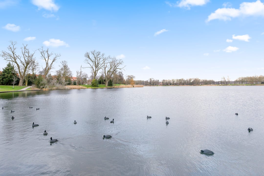 Foto 32 van Albert Cuypstraat 20