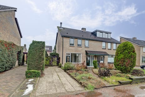 undefined main image