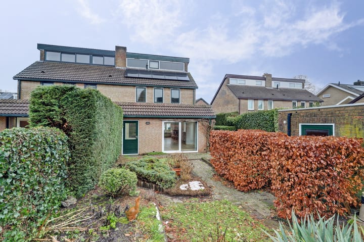 Foto 31 van de Bas 9